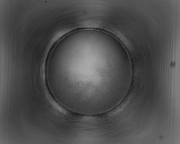 X0000102000840200807181203