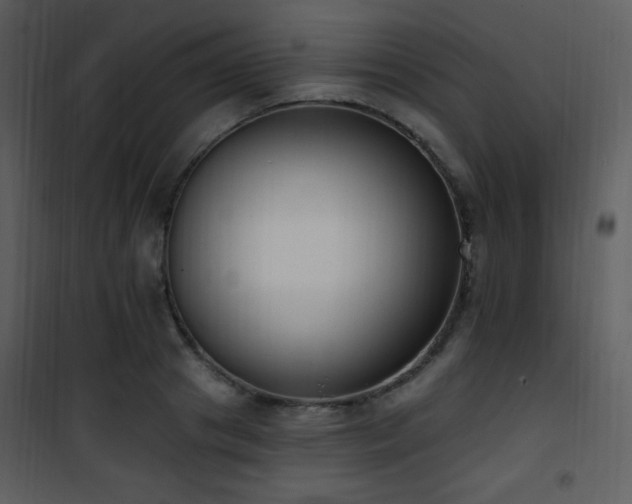 X0000102000841200807181203