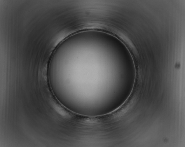 X0000102000842200807181203