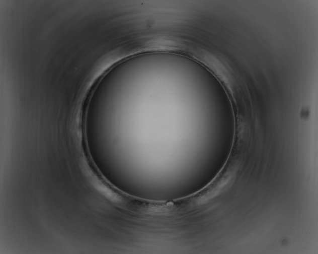 X0000102000843200807181203