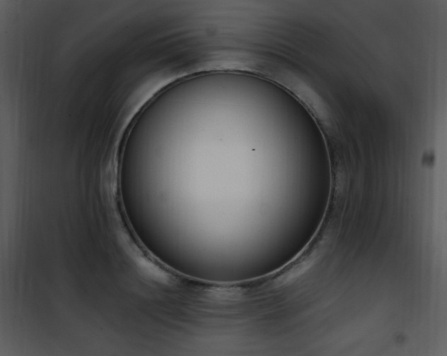 X0000102000844200807181203