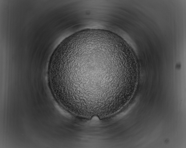 X0000102000845200807181203