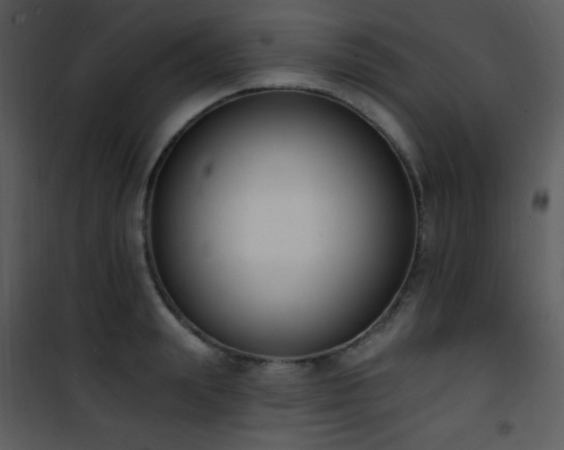 X0000102000847200807181203