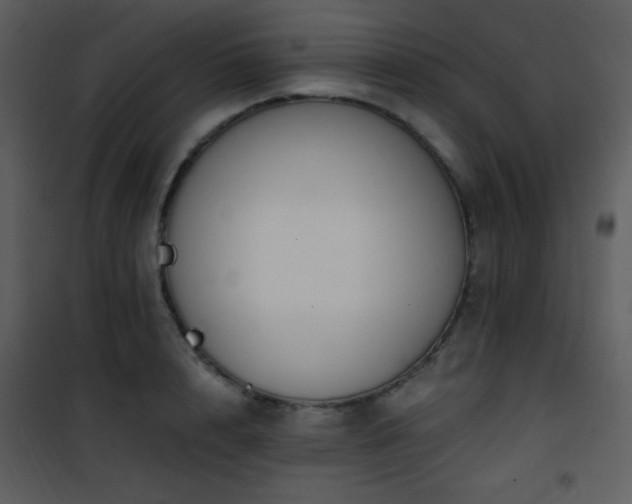 X0000102000848200807181203