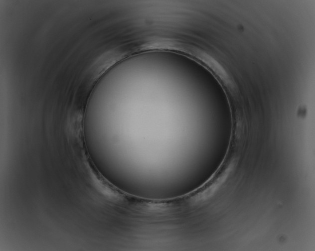 X0000102000849200807181203