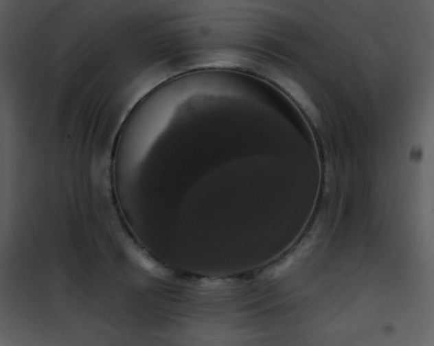 X0000102000850200807181203