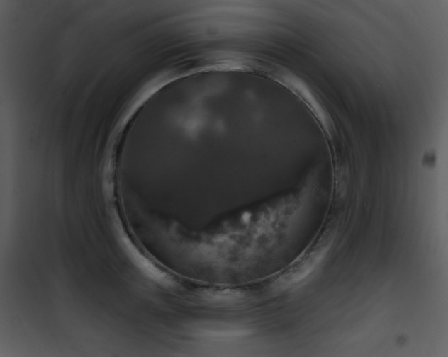 X0000102000851200807181203