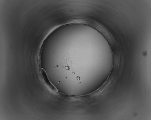 X0000102000852200807181203