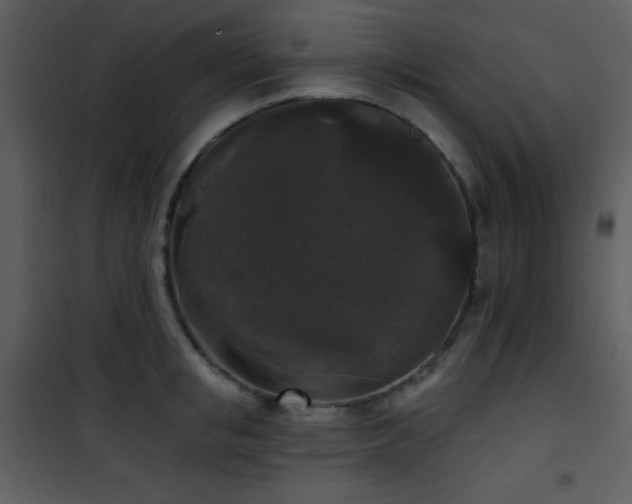 X0000102000853200807181203