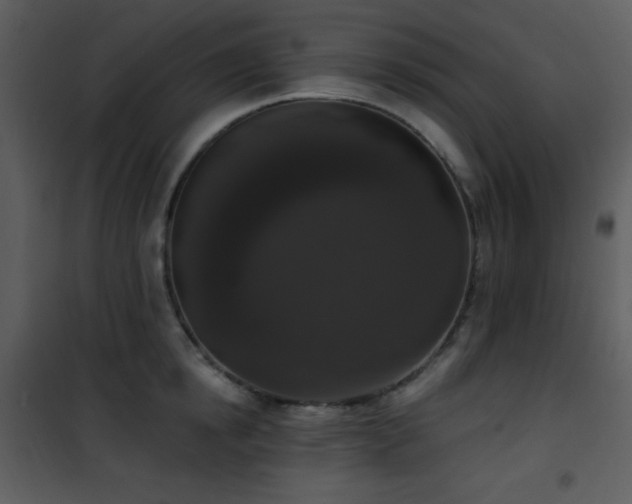 X0000102000854200807181203