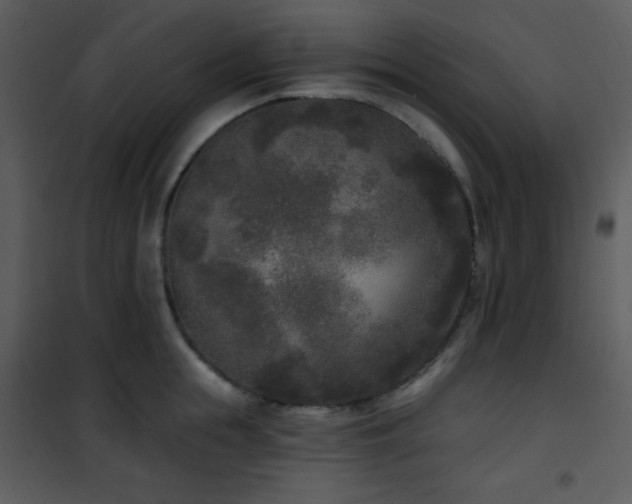 X0000102000855200807181203