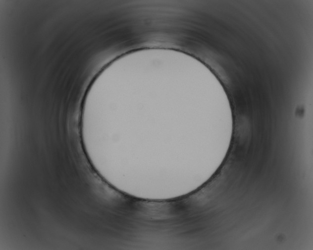 X0000102000856200807181203