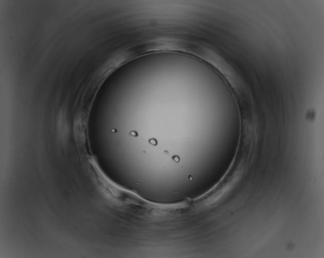 X0000102000857200807181203