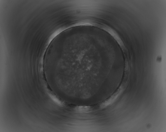 X0000102000858200807181203