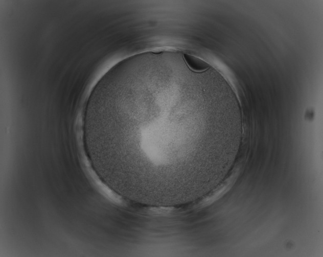 X0000102000859200807181203