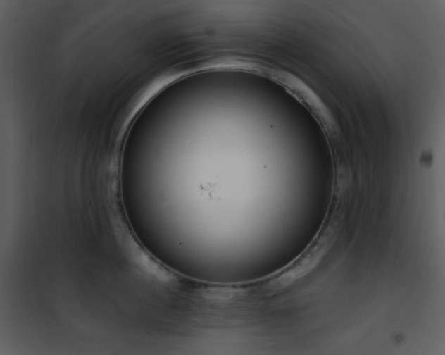 X0000102000860200807181203