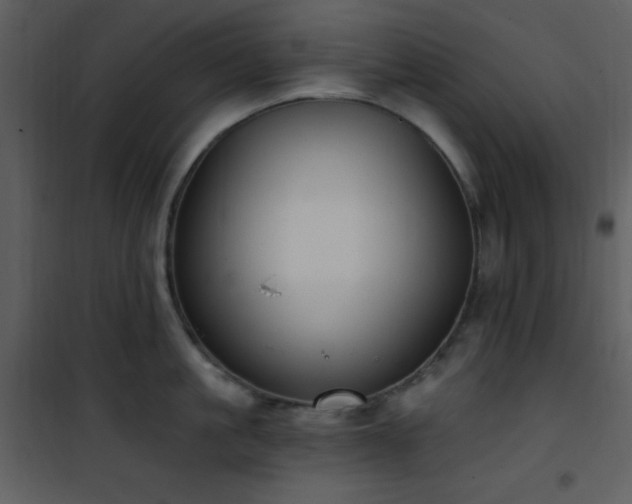 X0000102000861200807181203