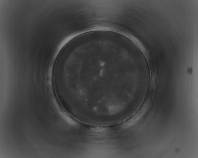 X0000102000862200807181203