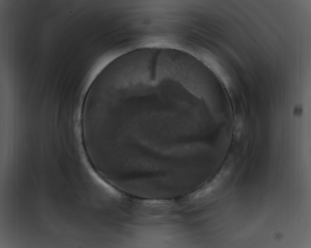 X0000102000863200807181203