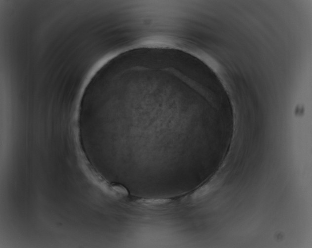 X0000102000864200807181203