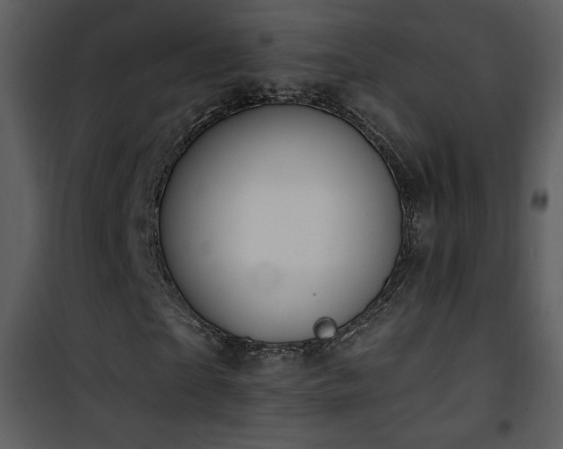 X0000102000865200807181203