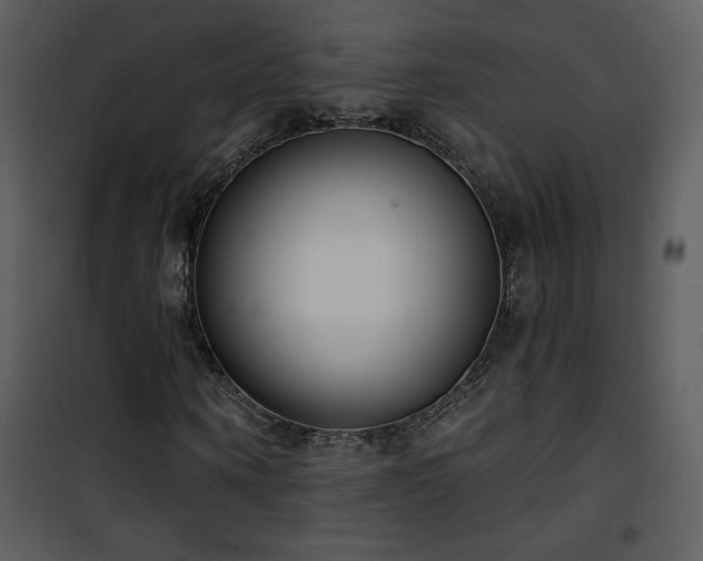 X0000102000866200807181203