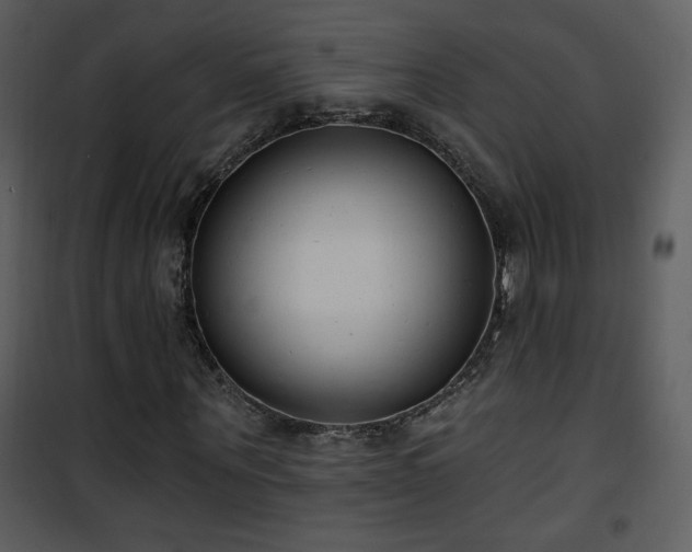 X0000102000867200807181203