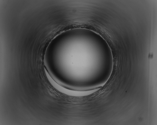 X0000102000868200807181203