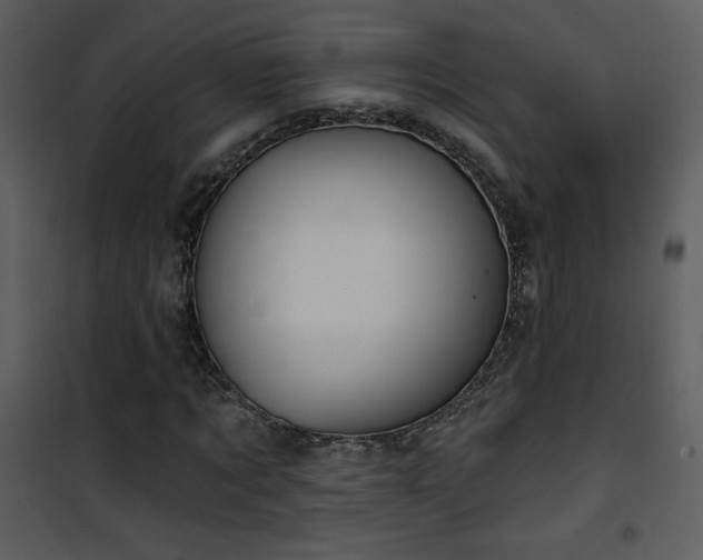 X0000102000869200807181203