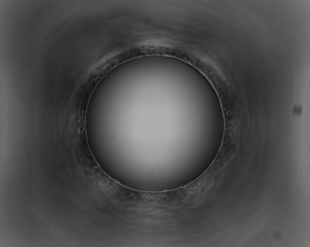 X0000102000870200807181203