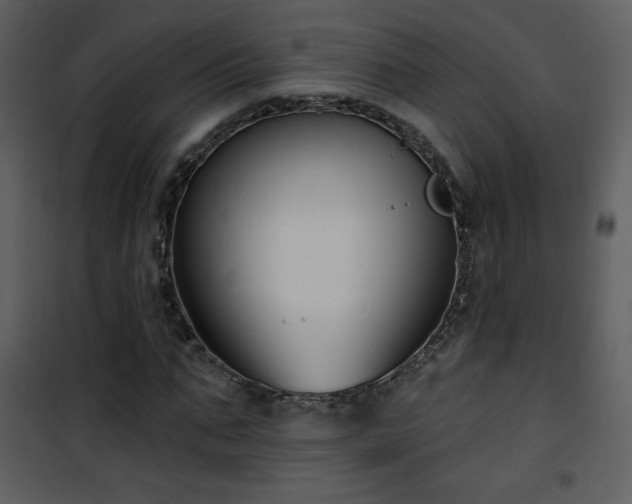 X0000102000871200807181203