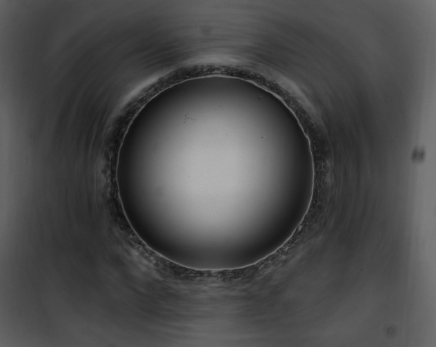 X0000102000872200807181202