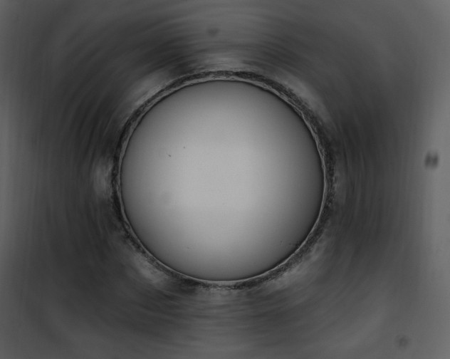 X0000102000873200807181202