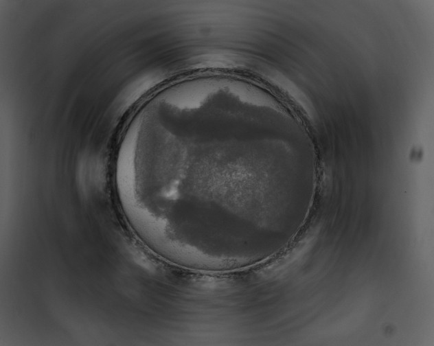 X0000102000874200807181202