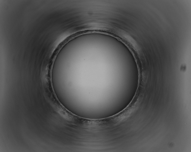 X0000102000875200807181202