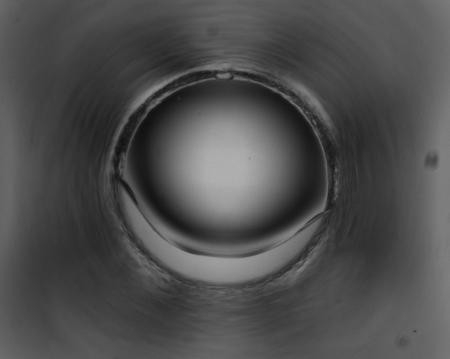 X0000102000876200807181202