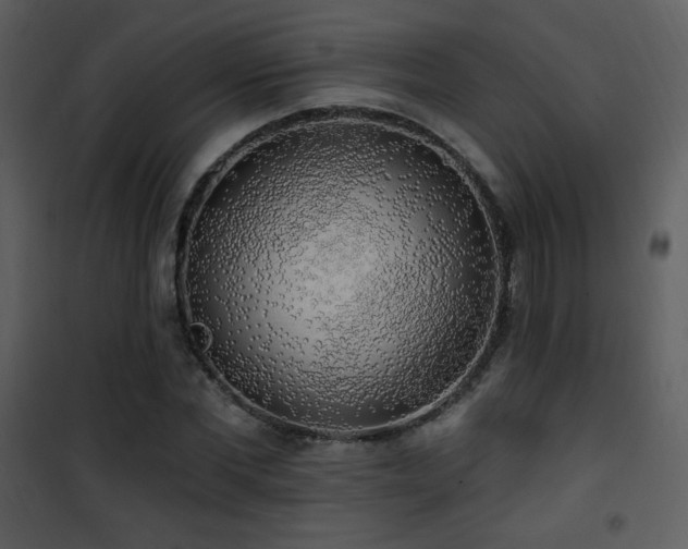 X0000102000877200807181202