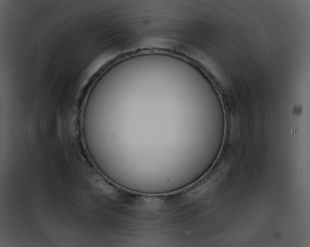 X0000102000878200807181202