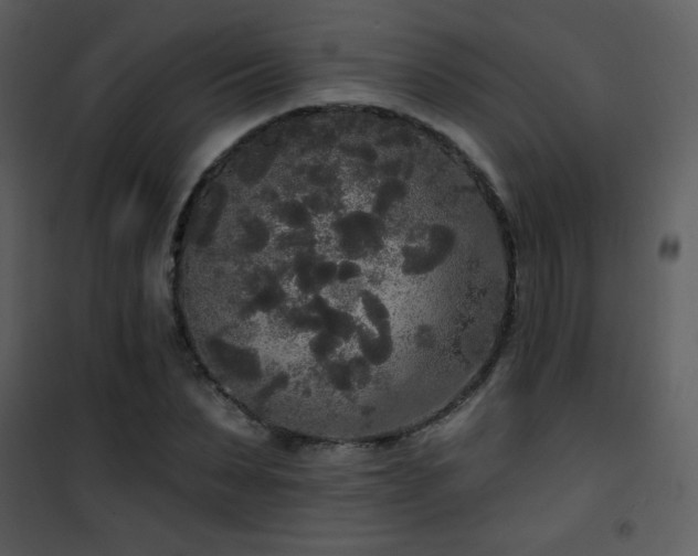 X0000102000879200807181202