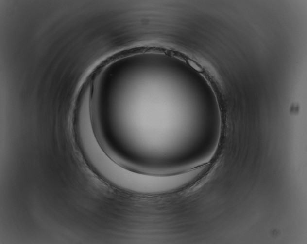 X0000102000880200807181202