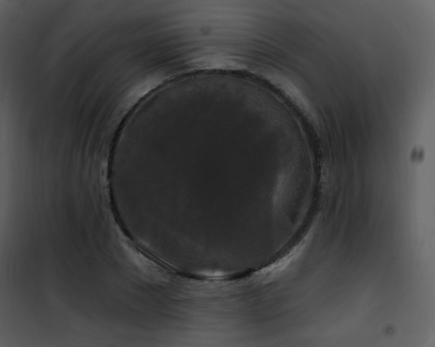 X0000102000881200807181202