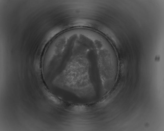 X0000102000882200807181202