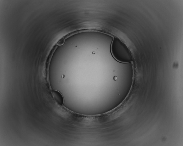 X0000102000883200807181202