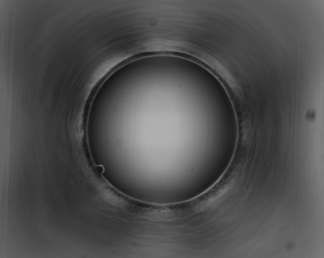 X0000102000885200807181202