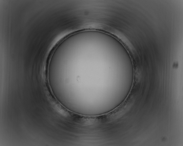 X0000102000886200807181202