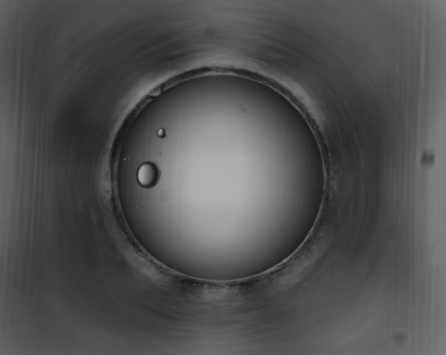 X0000102000887200807181202