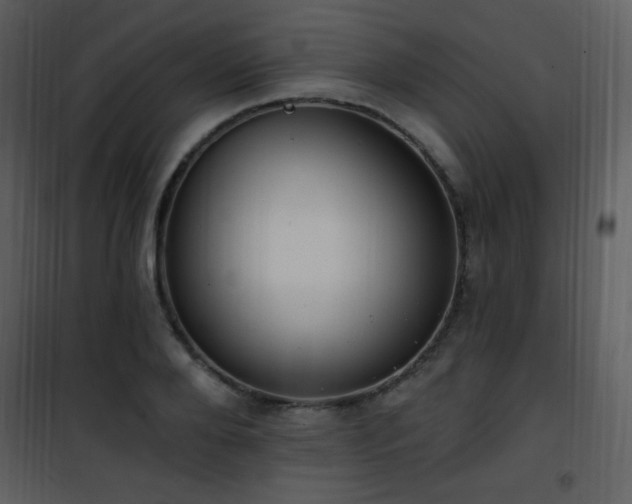 X0000102000888200807181202