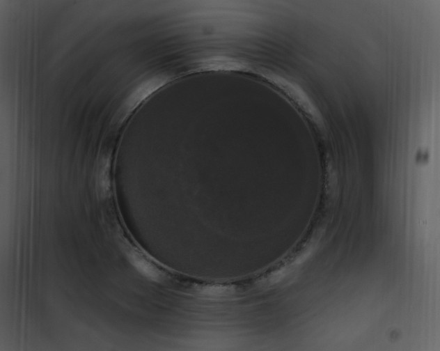 X0000102000889200807181202