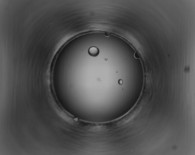 X0000102000891200807181202