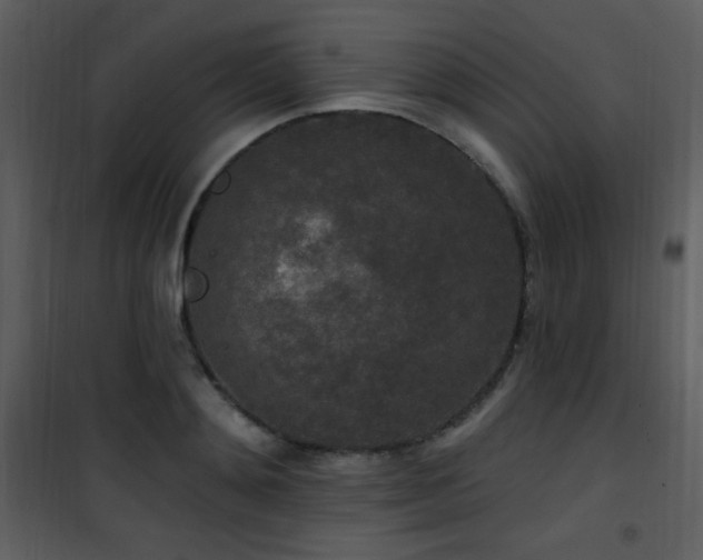 X0000102000892200807181202